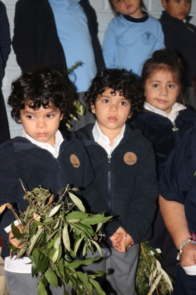 Celebración de Ramos